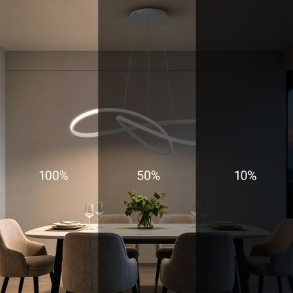 Brilagi - INFINITY LED Dimmable Cable Pendant Light LED/80W/230V 3000–6000K 80×80 cm White + Remote Control