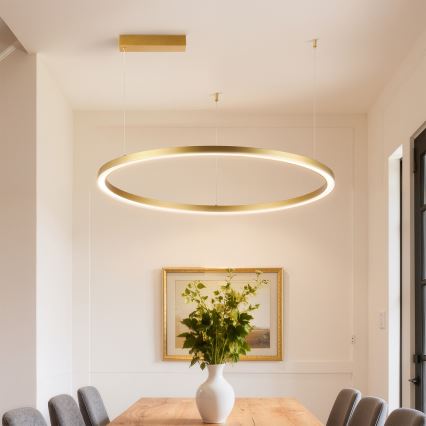 Brilagi - PORTOFINO Dimmable LED Cable-Hung Chandelier LED/60W/230V 3000-6000K dia. 80 cm Gold + Remote Control