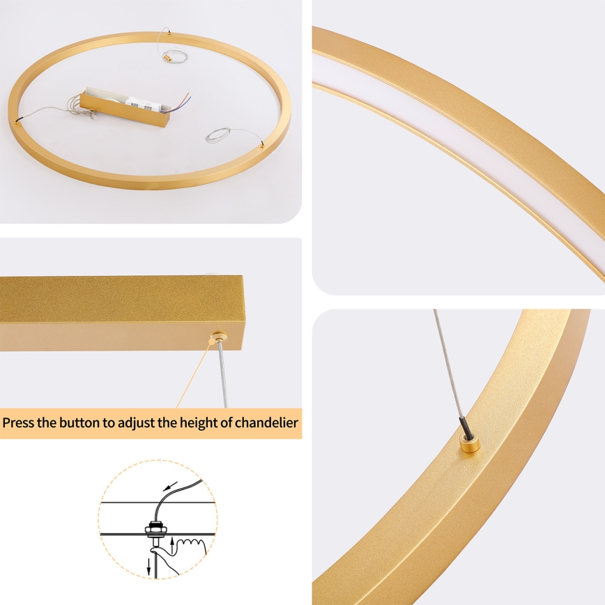 Brilagi - PORTOFINO Dimmable LED Cable-Hung Chandelier LED/60W/230V 3000-6000K dia. 80 cm Gold + Remote Control