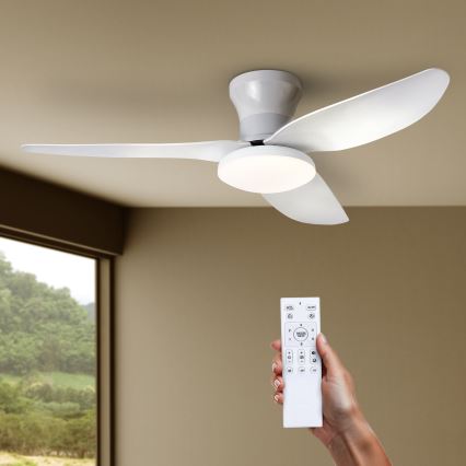 Brilagi - Dimmable LED Ceiling Fan LED/30W/230V 3000-6500K White + Remote Control