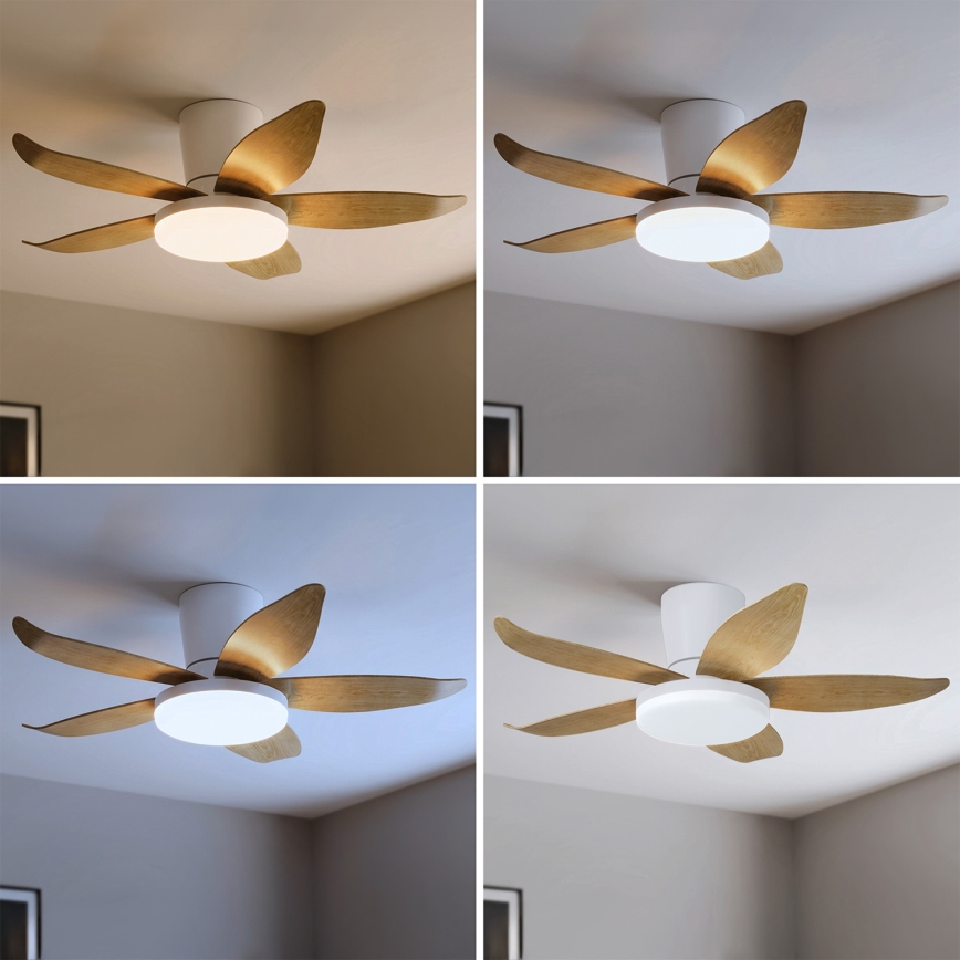 Brilagi - Dimmable LED Ceiling Fan LED/32W/230V 3000-6500K dia. 95 cm White/Brown + Remote Control