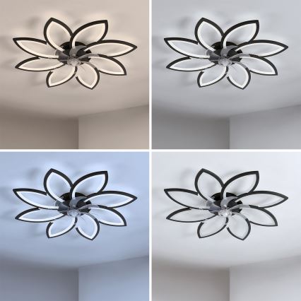Brilagi - LED Dimmable Ceiling Fan LED/43W/230V Ø 90 cm Black + Remote Control