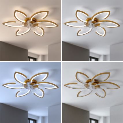 Brilagi - LED Dimmable Ceiling Fan LED/34W/230V Ø 78 cm Gold + Remote Control