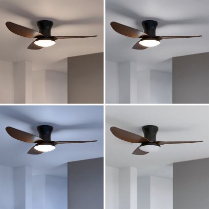 Brilagi - Dimmable LED Ceiling Fan, 38W/230V, 100 cm, Black/Brown + Remote Control