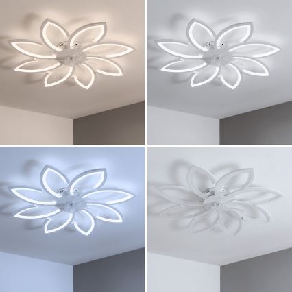 Brilagi - Dimmable LED Ceiling Fan LED/43W/230V 3000-6500K Ø 90 cm White + Remote Control