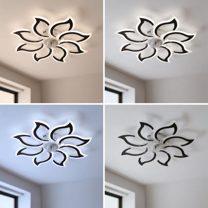 Brilagi - Dimmable LED Ceiling Fan LED/44W/230V Ø 90 cm Black + Remote Control