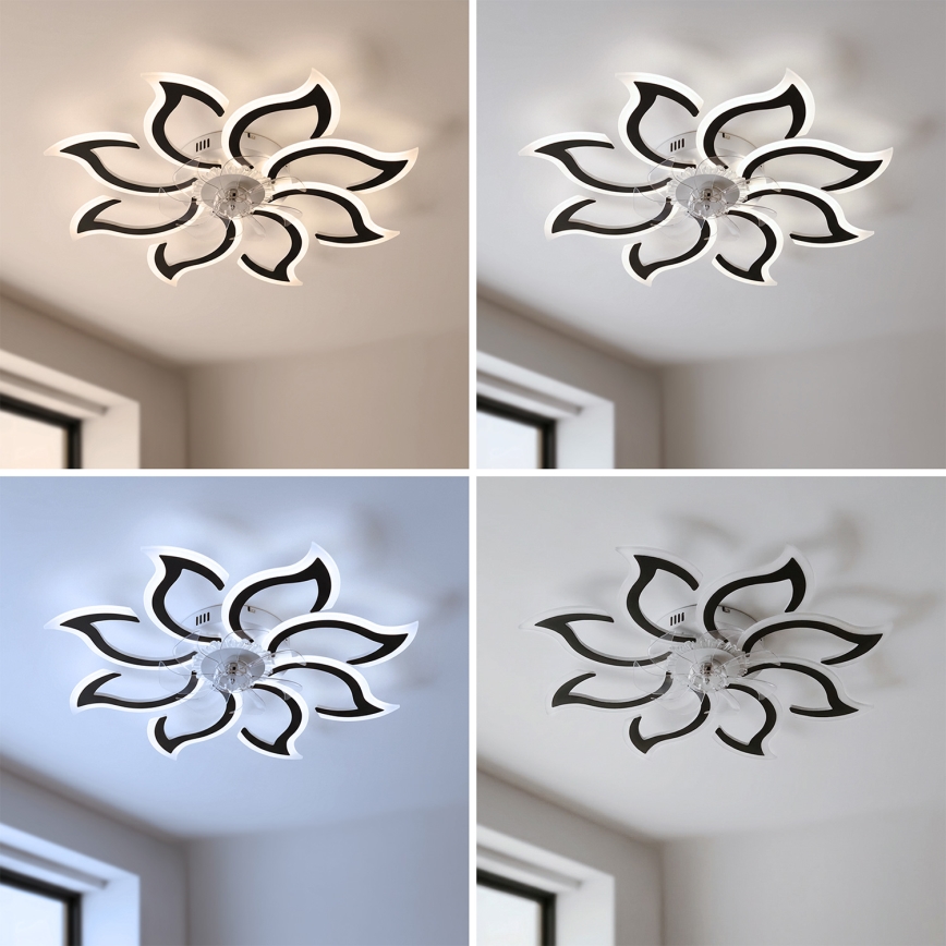 Brilagi - Dimmable LED Ceiling Fan LED/44W/230V Ø 90 cm Black + Remote Control