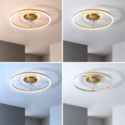 Brilagi - LED Dimmable Ceiling Fan LED/66W/230V 55 cm White/Gold + Remote Control