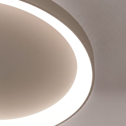 BRILAGI - LED Dimmable ceiling light FALCON II LED/108W/230V 3000-6500K Ø 80 cm beige + remote control