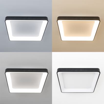 Brilagi - FALCON II Dimmable LED Ceiling Light LED/125W/230V 3000-6500K 60x60 cm Black + Remote Control