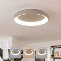BRILAGI - Dimmable LED ceiling light FALCON II LED/99W/230V 3000-6500K Ø 60 cm beige + remote control