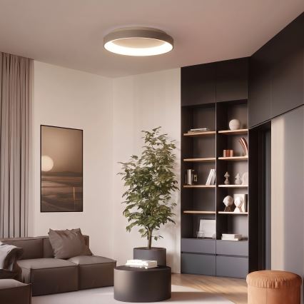 BRILAGI - LED Dimmable Ceiling Light FALCON II LED/99W/230V 3000-6500K Ø 60 cm white/beige + remote control