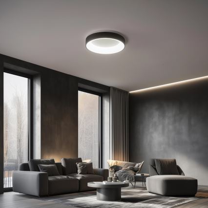 Brilagi - FALCON LED dimmable ceiling light, 80W, 230V, 3000–6500 K, Ø 60 cm, black, with remote control