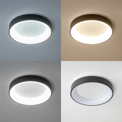 Brilagi - FALCON LED dimmable ceiling light, 80W, 230V, 3000–6500 K, Ø 60 cm, black, with remote control