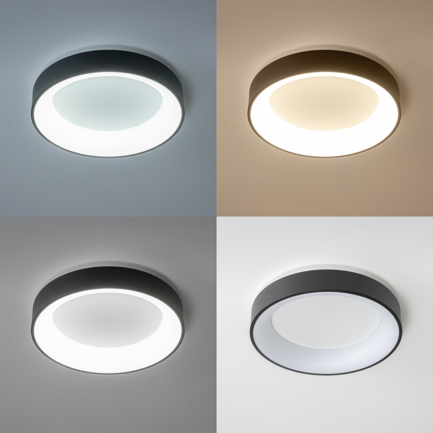 Brilagi - FALCON LED dimmable ceiling light, 80W, 230V, 3000–6500 K, Ø 60 cm, black, with remote control