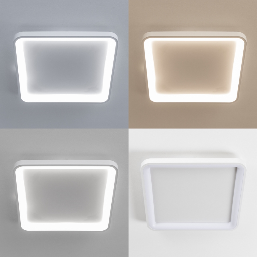 Brilagi - FALCON SLIM Dimmable LED Ceiling Light LED/50W/230V 3000-6500K 50x50 cm White + Remote Control