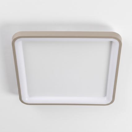 BRILAGI - LED Dimmable ceiling light FALCON SLIM LED/50W/230V 3000-6500K 50x50 cm white/beige + remote control