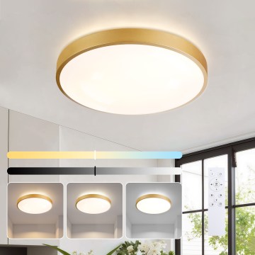 Brilagi - Dimmable LED Ceiling Light GLASS POOL DOUBLE LED/48W/230V 3000-6000K 40 cm Gold + Remote Control
