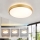 Brilagi - Dimmable LED Ceiling Light GLASS POOL DOUBLE LED/48W/230V 3000-6000K 40 cm Gold + Remote Control