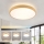 Brilagi - Dimmable LED Ceiling Light GLASS POOL DOUBLE LED/48W/230V 3000-6000K 40 cm wood-effect finish + remote control