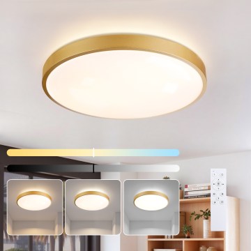 Brilagi - Dimmable LED Ceiling Light GLASS POOL DOUBLE LED/60W/230V 3000-6000K 50 cm Gold + Remote Control