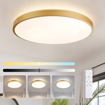 Brilagi - Dimmable LED ceiling light GLASS POOL DOUBLE LED/80W/230V 3000-6000K 60 cm gold + remote control