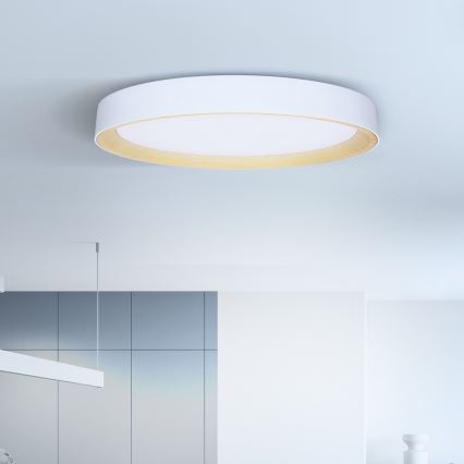 Brilagi - Dimmable LED ceiling light LARIOS LED/72W/230V 3000-6500K white Ø 59 cm + remote control