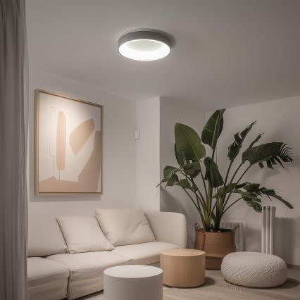 Brilagi - FALCON Dimmable LED Ceiling Light LED/40W/230V 3000–6500K, Ø45 cm, grey + remote control