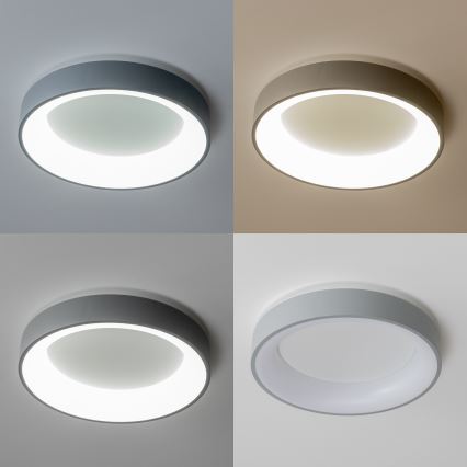 Brilagi - FALCON Dimmable LED Ceiling Light LED/40W/230V 3000–6500K, Ø45 cm, grey + remote control