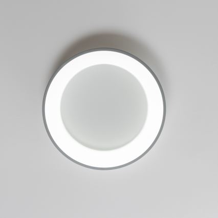 Brilagi - FALCON Dimmable LED Ceiling Light LED/40W/230V 3000–6500K, Ø45 cm, grey + remote control
