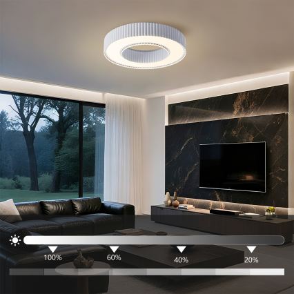 Brilagi - LUMIX Dimmable LED Ceiling Light LED/48W/230V 3000-6000K White, Ø 50 cm + Remote Control