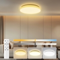 Brilagi - Dimmable LED ceiling light MILKY WAY LED/24W/230V 3000-6500K dia. 38 cm + remote control