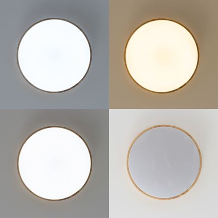 Brilagi - PINE Dimmable LED Ceiling Light LED/24W/230V, Wooden, dia. 42 cm, 3000-6500K + Remote Control