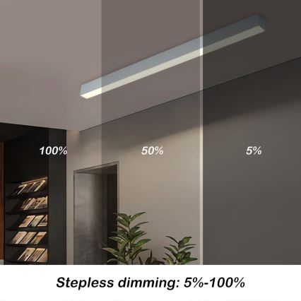 Brilagi - SLEEKLINE SMART Dimmable LED Ceiling Light LED/40W/230V 3000-6000K Wi-Fi Tuya, Silver + Remote Control