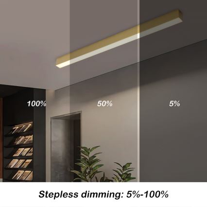 Brilagi - LED Dimmable Ceiling Light SLEEKLINE SMART LED/40W/230V 3000-6000K Wi-Fi Tuya gold + remote control