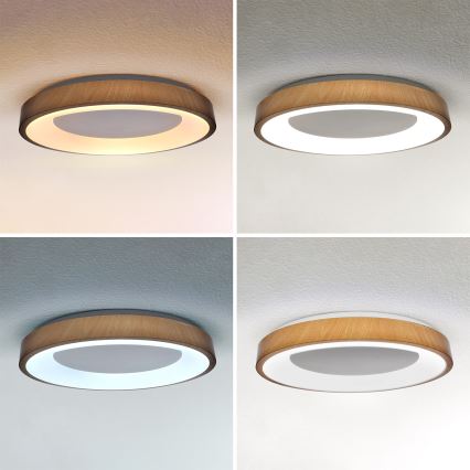 Brilagi - DORIA LED Dimmable Ceiling Light LED/60W/230V 3000-6500K Ø 60 cm + Remote Control