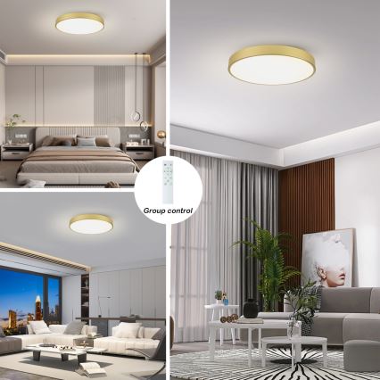 Brilagi - LED Dimmable Ceiling Light POOL SMART LED/100W/230V 3000-6000K 80 cm gold Wi-Fi Tuya + remote control