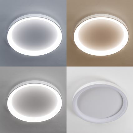Brilagi - FALCON II Dimmable LED Ceiling Light, 108W, 230V, 3000–6500K, Ø 80 cm, White + Remote Control