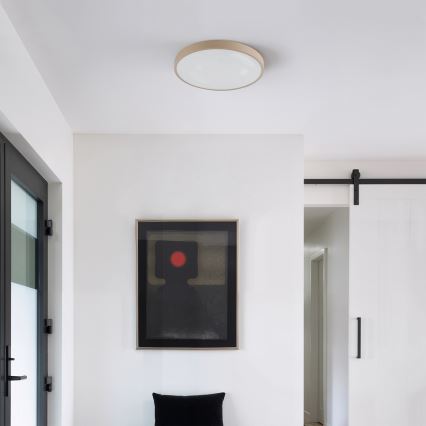 Brilagi - GLASS POOL DOUBLE Dimmable LED Ceiling Light/48W/230V 3000-6000K 40 cm Beige + Remote Control