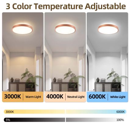 BRILAGI - Dimmable LED ceiling light GLASS POOL DOUBLE LED/48W/230V Ø 40 cm copper + remote control
