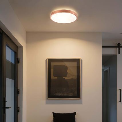 BRILAGI - Dimmable LED ceiling light GLASS POOL DOUBLE LED/48W/230V Ø 40 cm copper + remote control