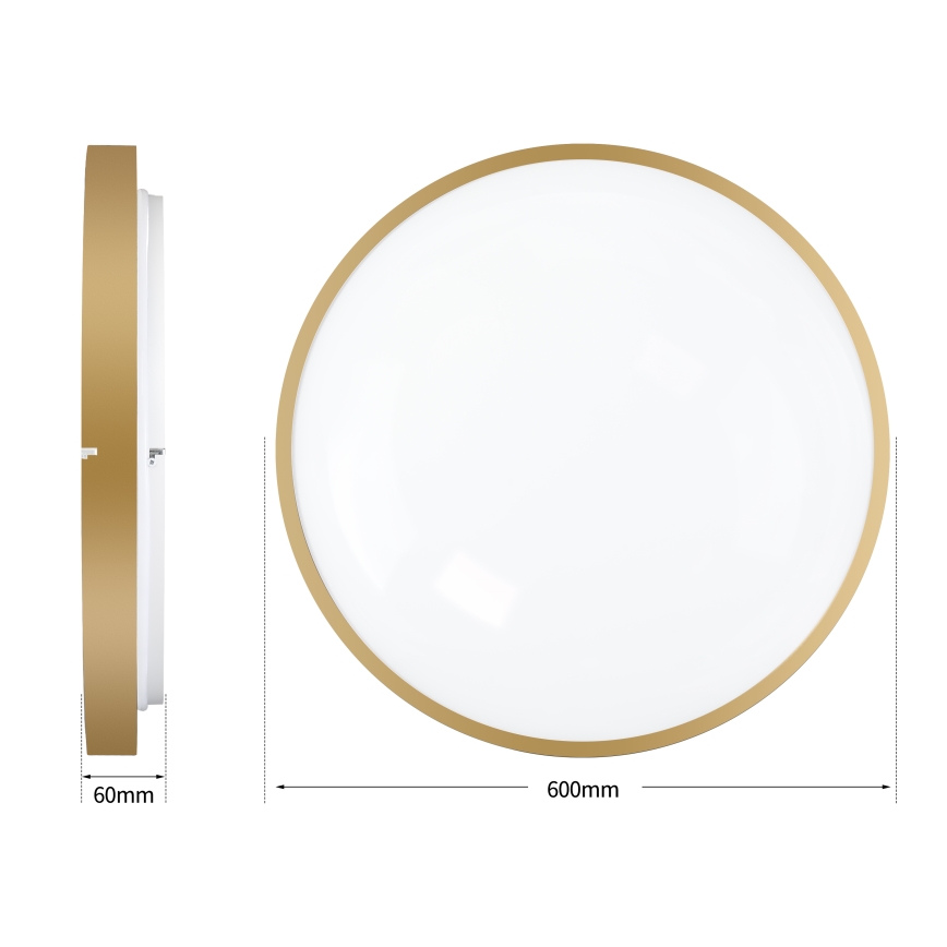 Brilagi - Dimmable LED ceiling light GLASS POOL DOUBLE LED/80W/230V 3000-6000K 60 cm gold + remote control