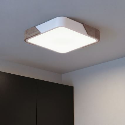 Brilagi - Dimmable LED ceiling light PILANA LED/48W/230V 3000-6500K oak/white 42x42 cm + remote control