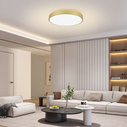 Brilagi - LED Dimmable Ceiling Light POOL SMART LED/100W/230V 3000-6000K 80 cm Gold Wi-Fi Tuya + Remote Control