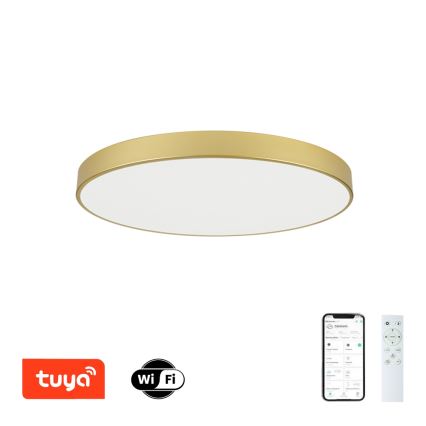 Brilagi - LED Dimmable Ceiling Light POOL SMART LED/100W/230V 3000-6000K 80 cm Gold Wi-Fi Tuya + Remote Control