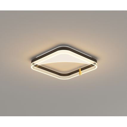 Brilagi - LED Dimmable Ceiling Light SIRELI LED/56W/230V 3000-6000K 40x40 cm + Remote Control