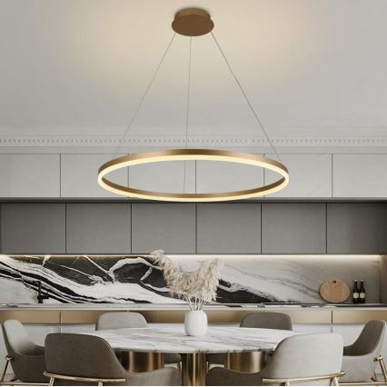 Brilagi - CIRCLE dimmable LED cable pendant LED/55W/230V 3000-6500K Ø 80 cm gold + remote control