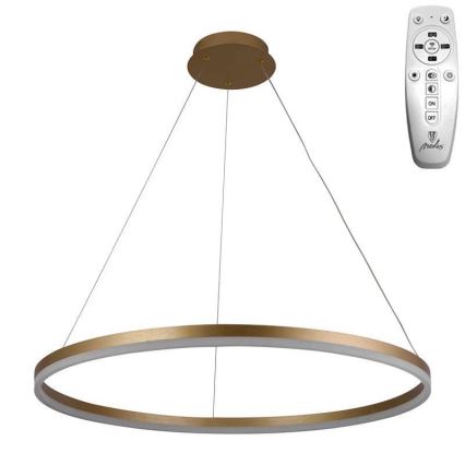 Brilagi - CIRCLE dimmable LED cable pendant LED/55W/230V 3000-6500K Ø 80 cm gold + remote control