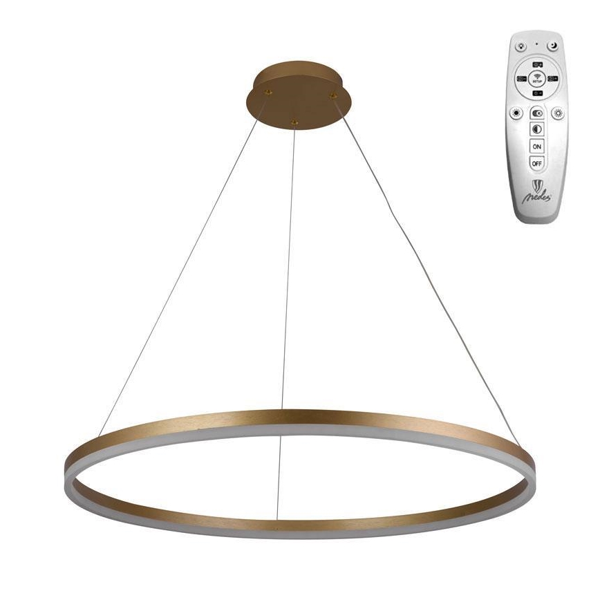Brilagi - CIRCLE dimmable LED cable pendant LED/55W/230V 3000-6500K Ø 80 cm gold + remote control