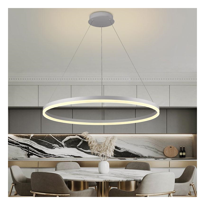 Brilagi - CIRCLE LED dimmable pendant light suspended on cable, LED 55W/230V, 3000–6500K, Ø 80 cm, white + remote control
